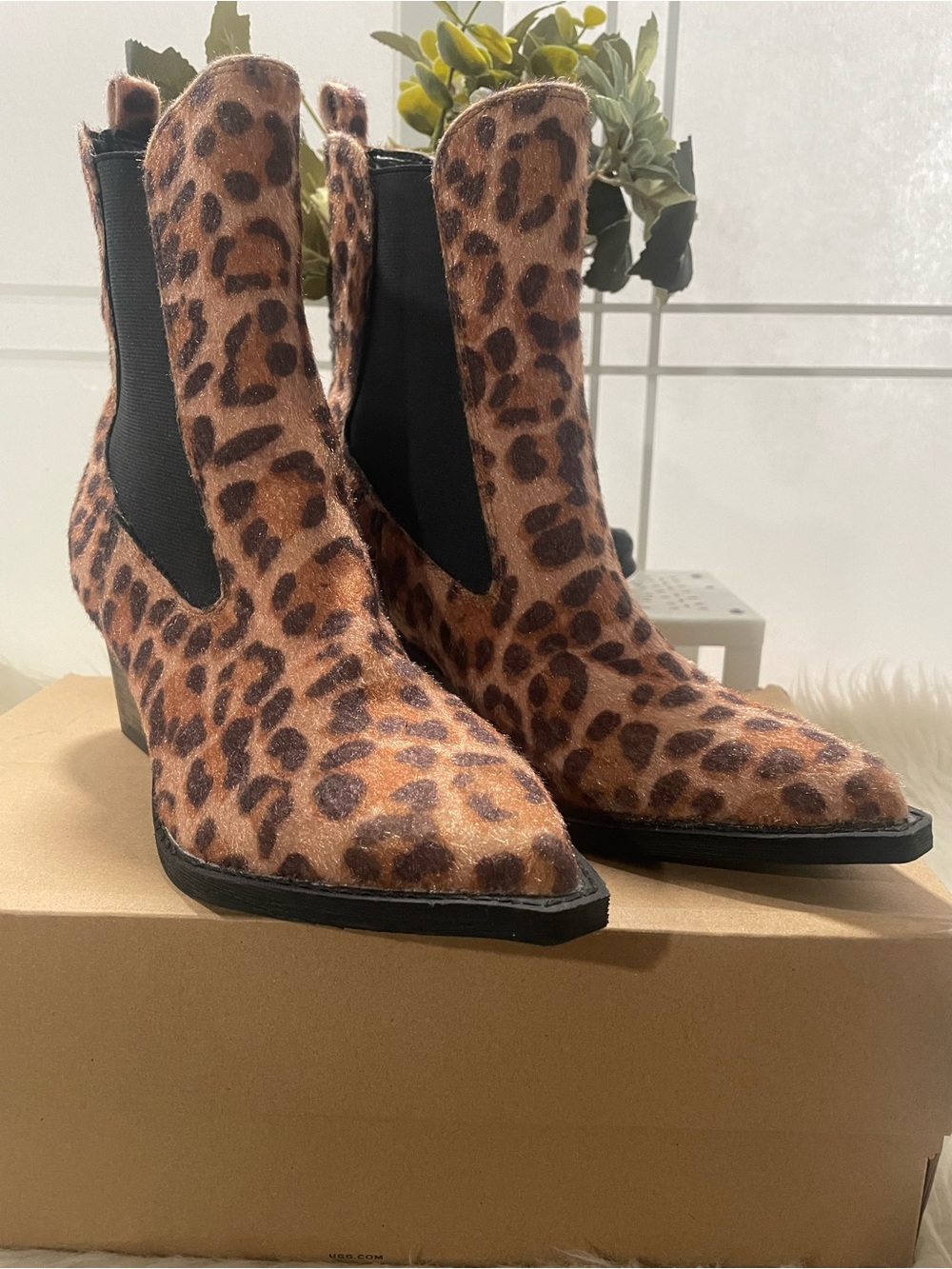 Dolce Vita DV Jerico A Ankle boots/ booties, Leopard Print Women's Size 8